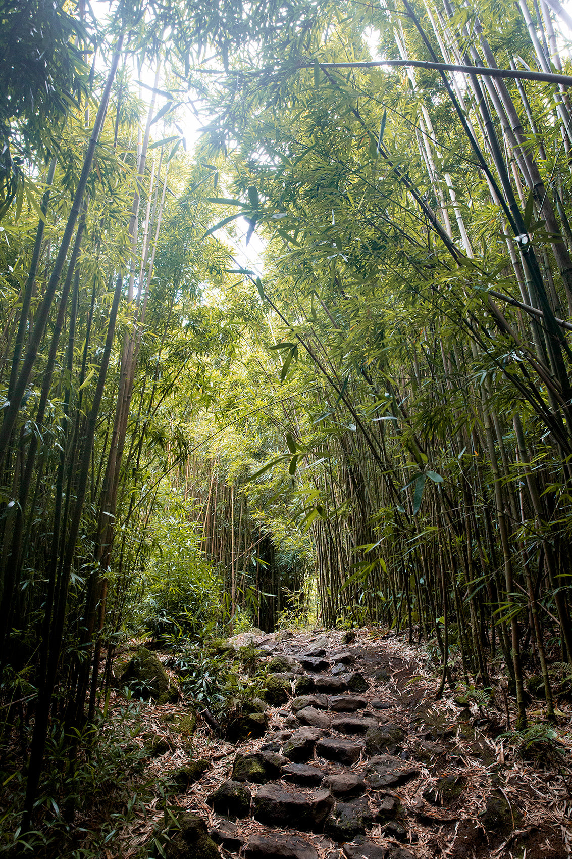 The Ultimate Guide to Bamboo Sleepwear: Why It’s a Game-Changer for Hot Sleepers in Australia